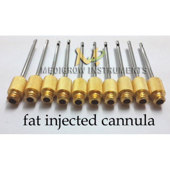 luer lock cannula